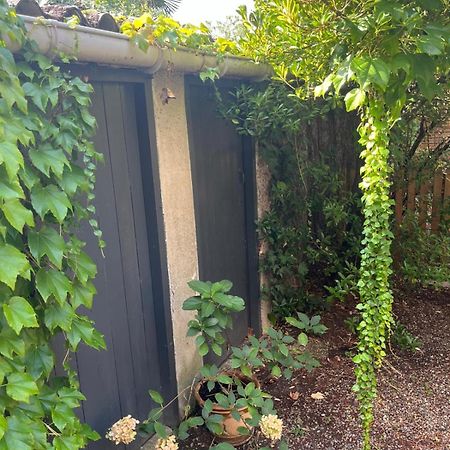 Appartement Cosy Avec Jardin Quartier Calme تولوز المظهر الخارجي الصورة